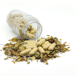 Nutraceuticals